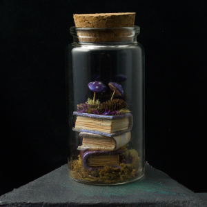 A photo of the Shimmerooms Spellbound study