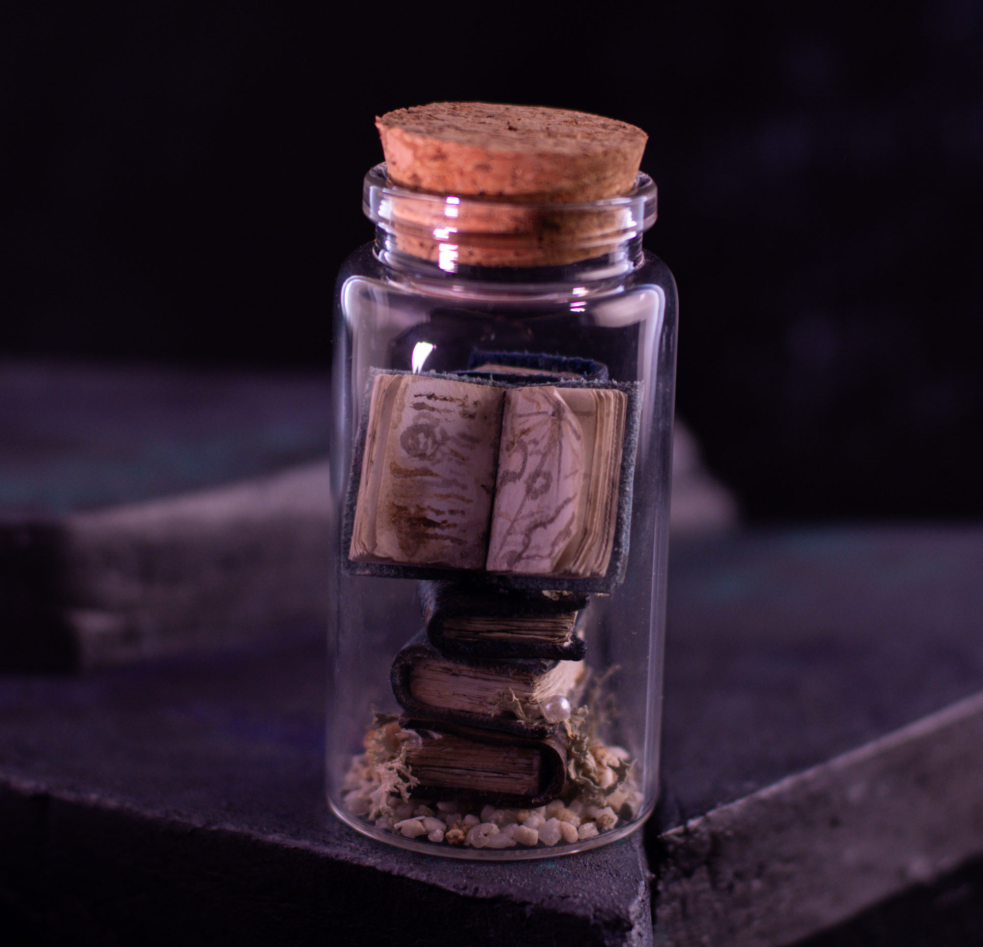 Sea Tomes X02, photo 5