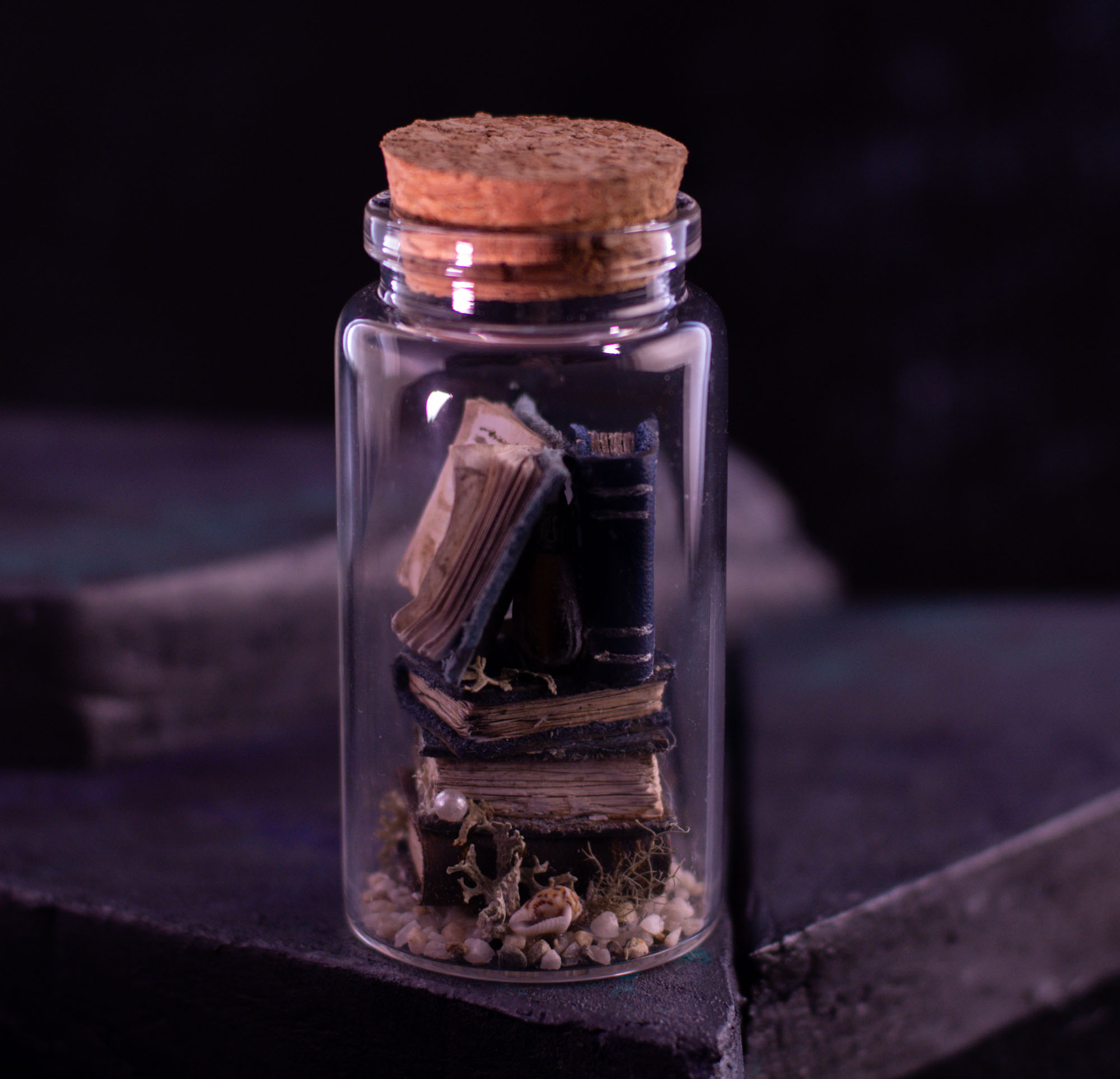 Sea Tomes X02, photo 5