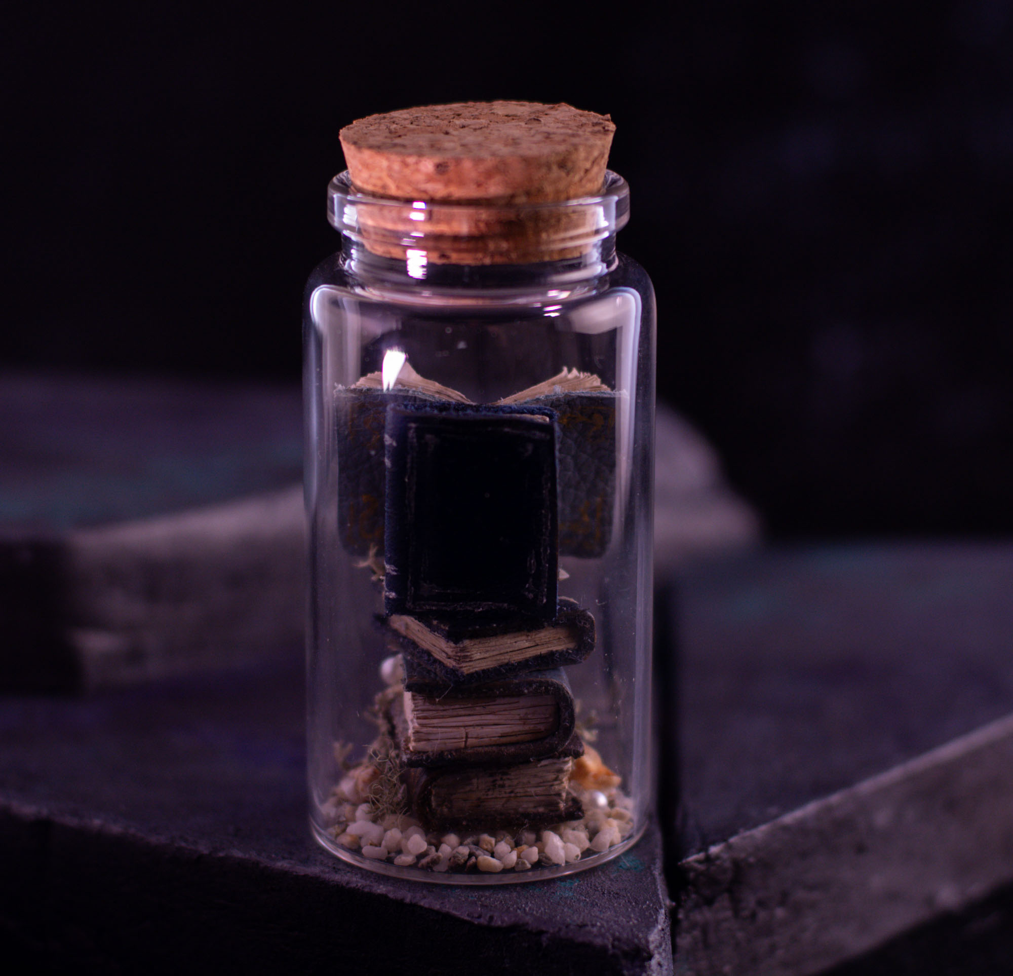 Sea Tomes X02, photo 5