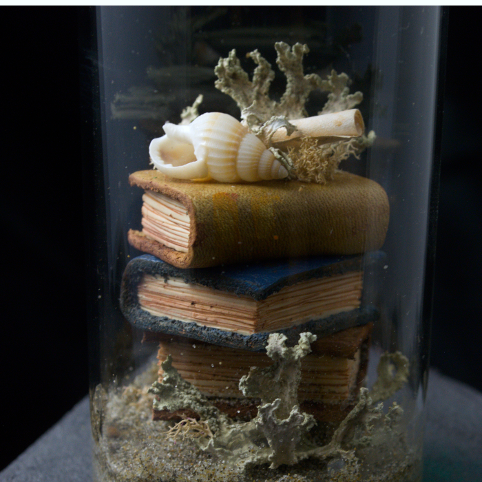 Sea Tomes X02, photo 1