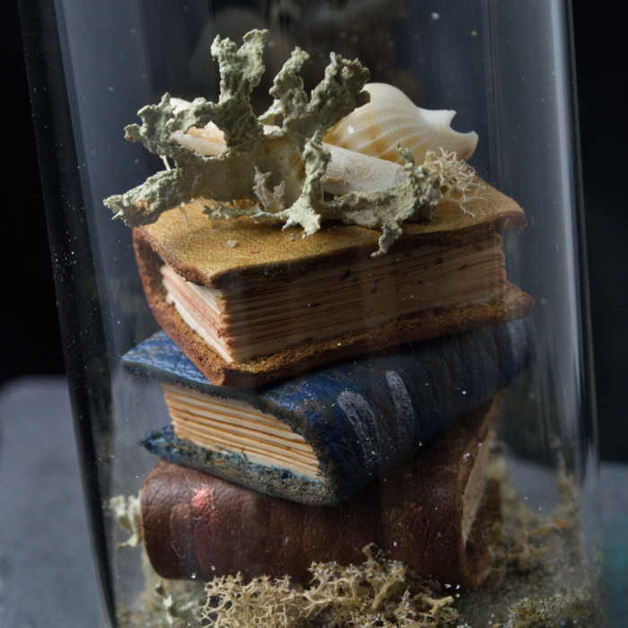 Sea Tomes X02, photo 2