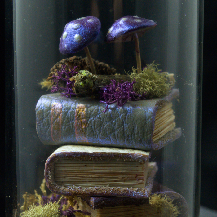 A photo of the Shimmerooms spellbound study